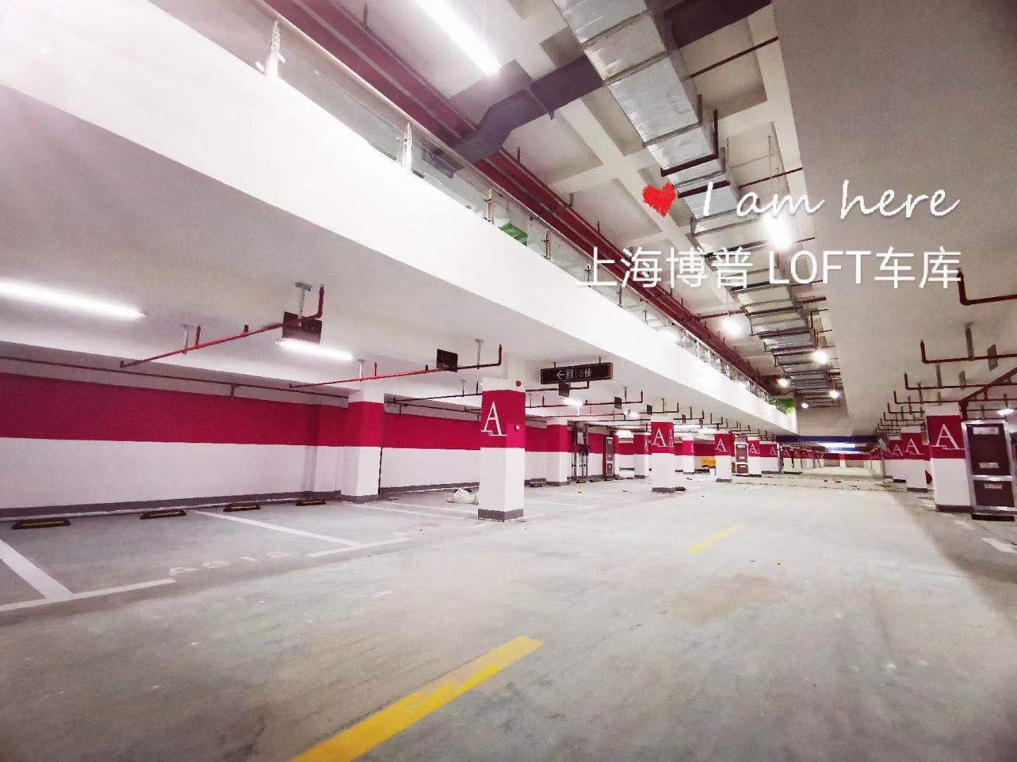 黄浦已交竣的绿城豪华LOFT专利车库效果惊艳！